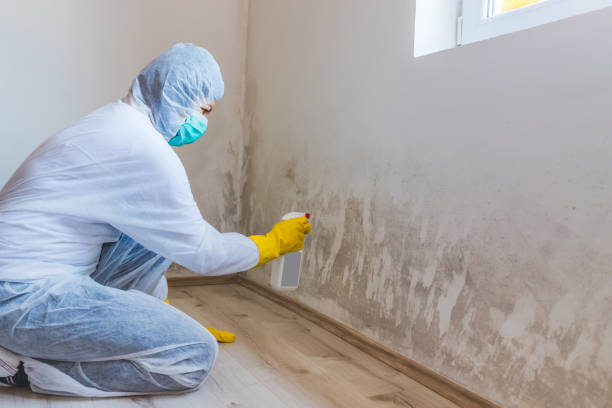 Licensed Bathroom Mold Removal service in Callao, VA - WQB Mold Removal