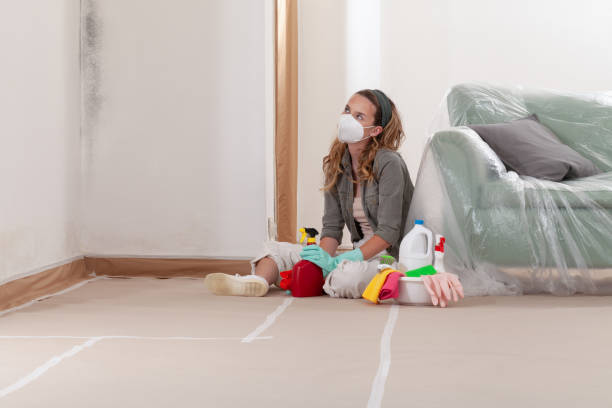 Reliable Bathroom Mold Removal contractor in Callao, VA by WQB Mold Removal